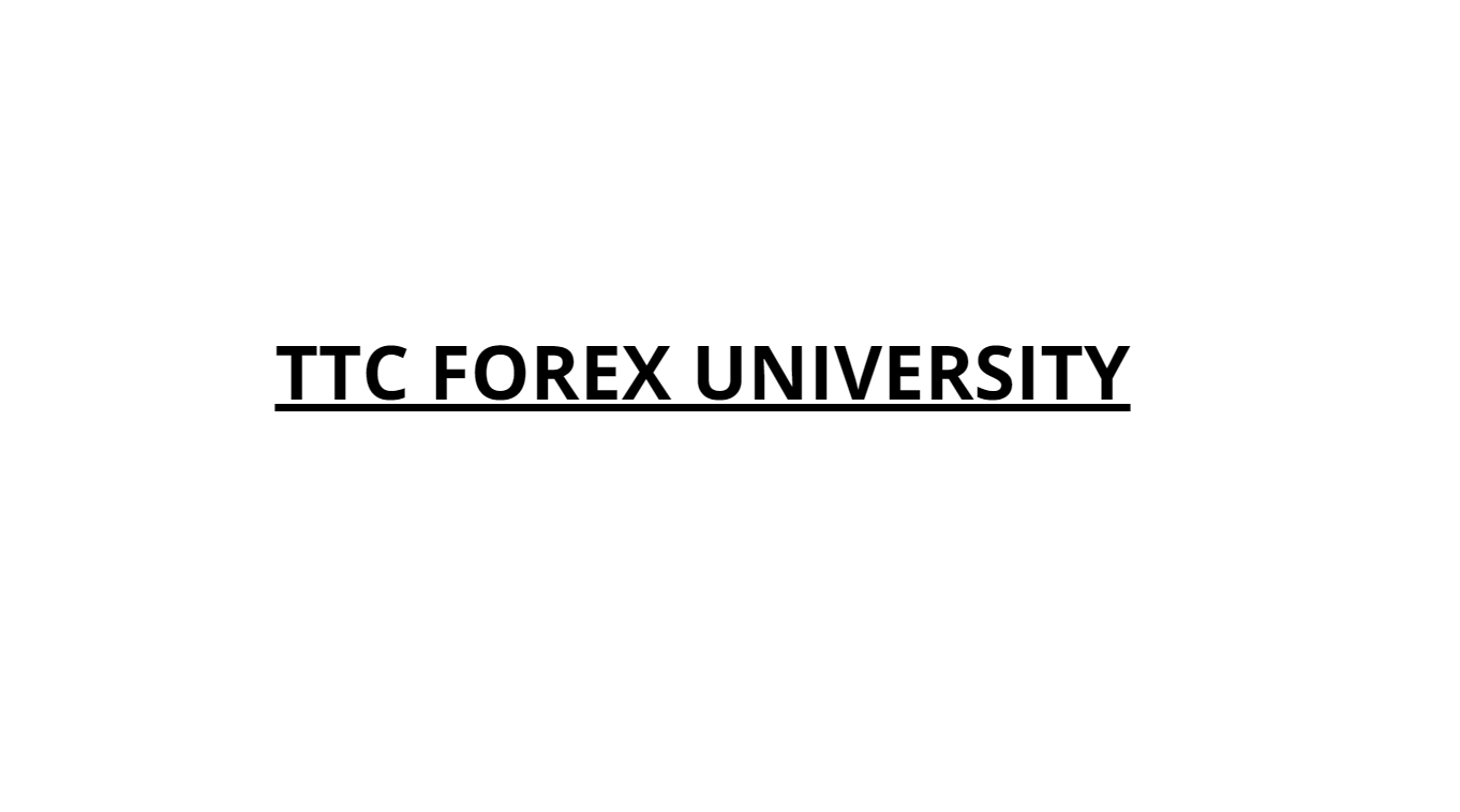 Steve - TTC Forex University